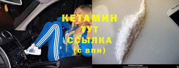 шишки Балахна