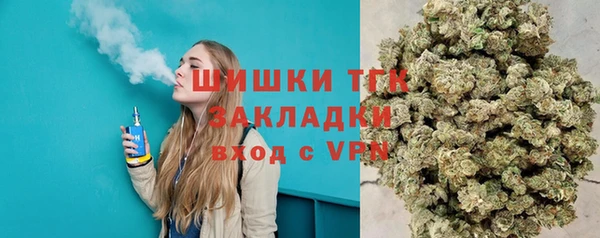 шишки Балахна
